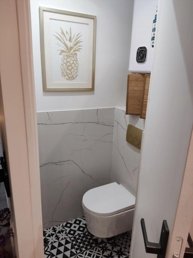 Superbe Appartement Avec Jacuzzi Avec Jardin Prive Lyon Kültér fotó