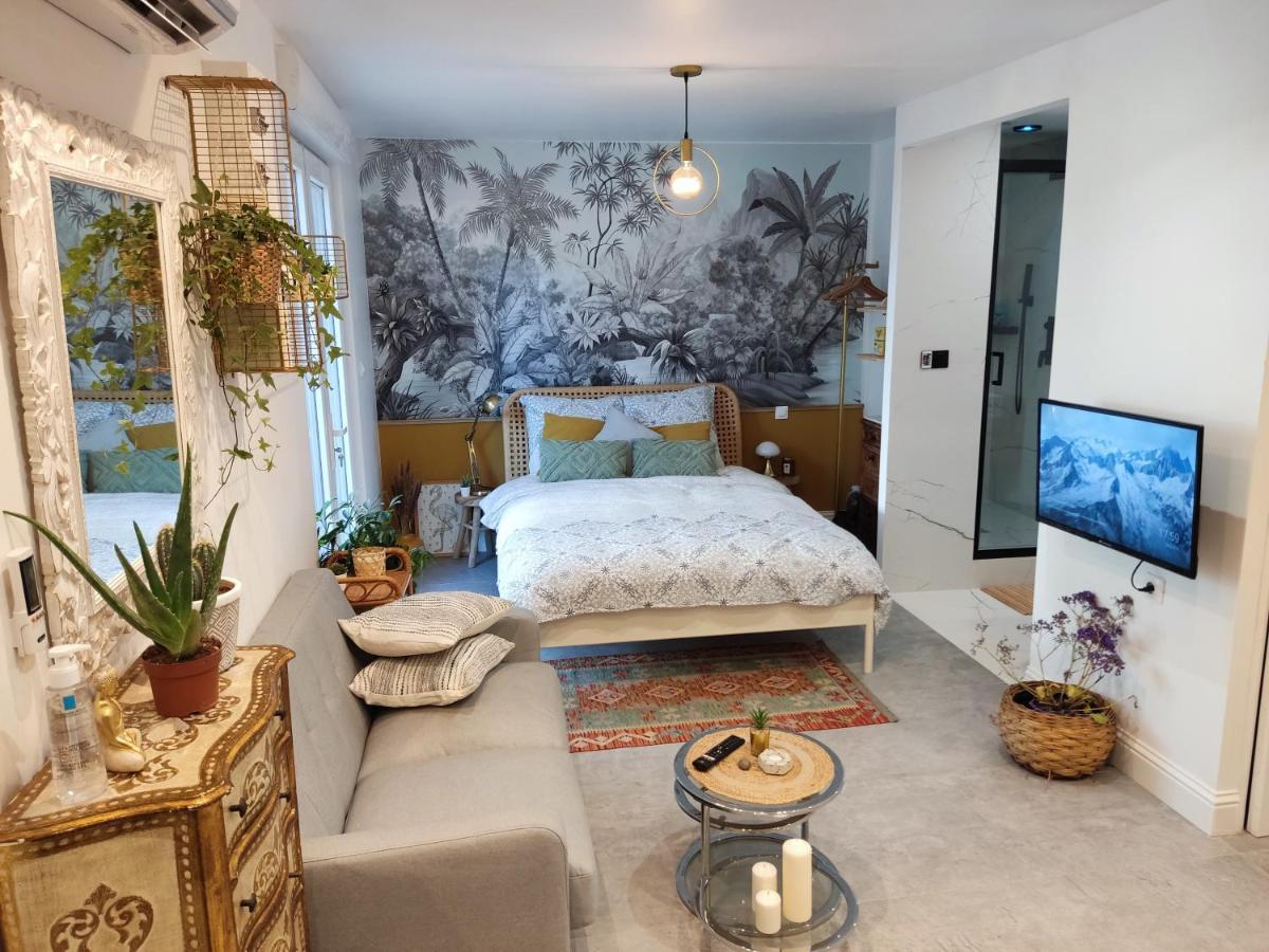Superbe Appartement Avec Jacuzzi Avec Jardin Prive Lyon Kültér fotó